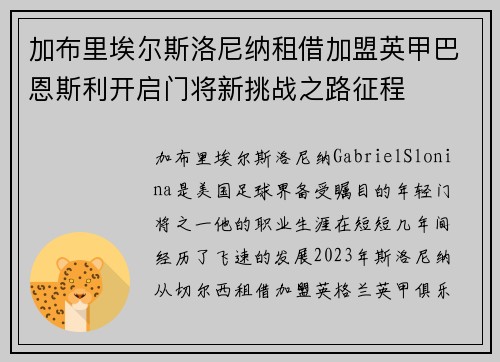加布里埃尔斯洛尼纳租借加盟英甲巴恩斯利开启门将新挑战之路征程